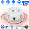 360° Ultrasonic Rodent Chaser Electronic Plug-in Mouse Control for Indoor Use Rodent Deterrent with Ultrasonic Sound