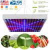 LED Grow Light Full Spectrum Hanging 225 LEDs Plant Grow Lamp Indoor Grow Light for Greenhouse Succulents Seedlings Plants Veg and Flower（15W LEDs）