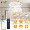 19.7in Ceiling Fan with 60W Light Round Pendant Fan Lamp LED Ceiling Fan with 6-Fan Speed 3000-6500W Light Color Adjustment Remote Control Timer APP C
