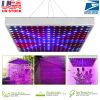 LED Grow Light Full Spectrum Hanging 225 LEDs Plant Grow Lamp Indoor Grow Light for Greenhouse Succulents Seedlings Plants Veg and Flower（15W LEDs）