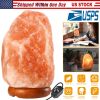 Salt Lamp Crystal Rock Salt Lamp with Dimmer Switch Hand Carved Table Lamps Night Light with Wood Base